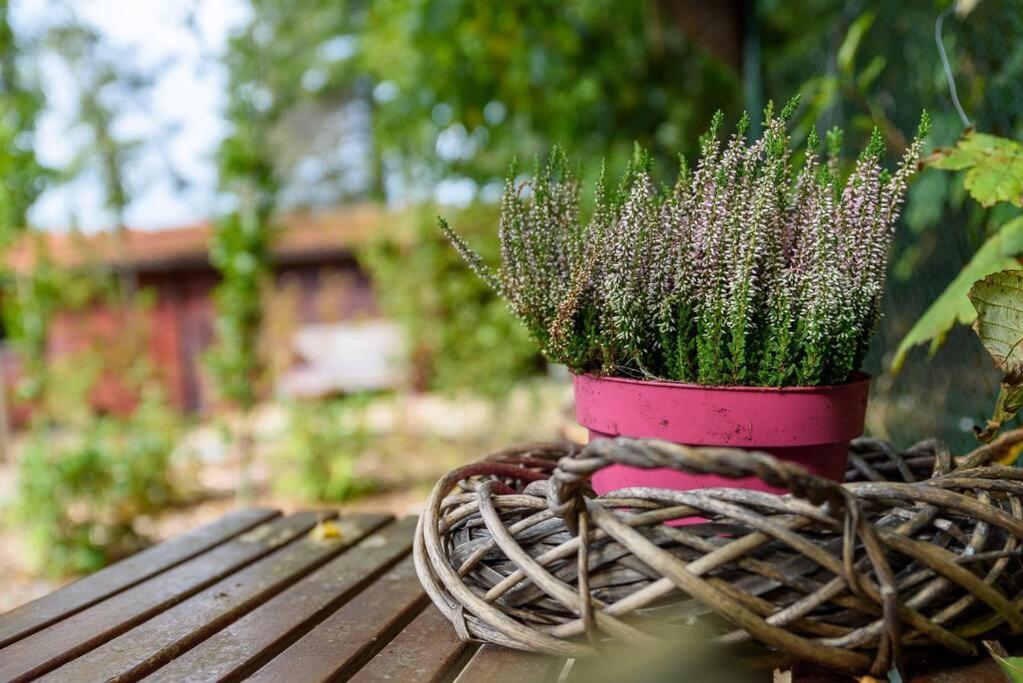 Spacious Wooden Cottage With Infra-Red Sauna At Veluwe พุทเทิน ภายนอก รูปภาพ
